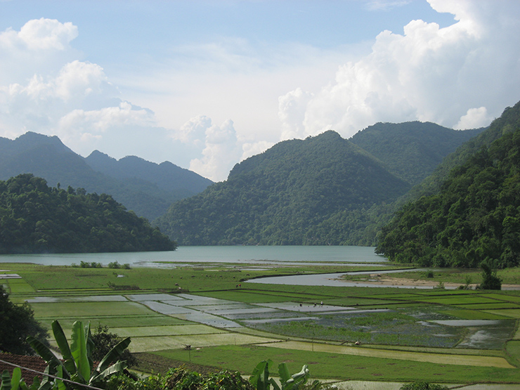 Việt Nam: Với khí ẩm dày đặc trong bầu khí quyển, đặc biệt là vào mùa xuân, khung cảnh được bao phủ bởi sắc xanh tươi mát.
