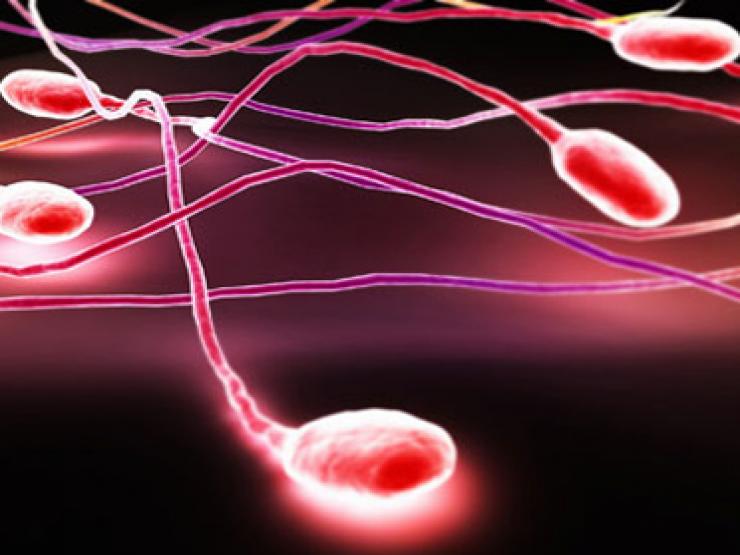 Sức khỏe đời sống - Nam thanh niên bỗng nhiên có tinh dịch màu đỏ là bệnh gì?