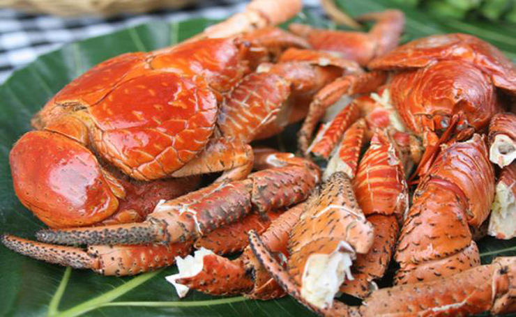 Dù có vẻ ngoài khiến nhiều người sợ hãi nhưng chúng lại là đặc sản thơm ngon, thịt cua dừa có vị như tôm hùm, rất săn chắc và ngọt.&nbsp;

