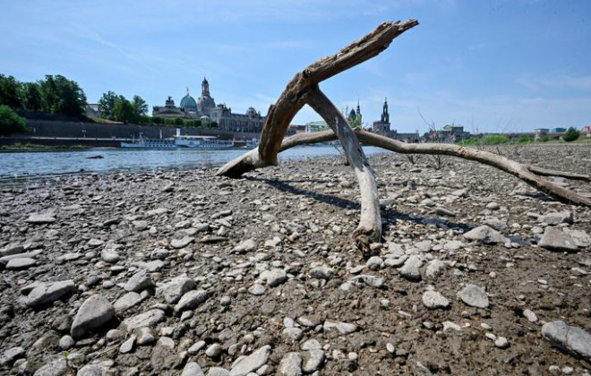 Bờ sông Elbe khô cạn ở Dresden - Đức
ngày 20-7 - Ảnh: REUTERS