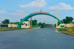 Kinh doanh - Doanh nghiệp họ Louis bị Ủy ban Chứng khoán phạt 370 triệu đồng do vi phạm hàng loạt lỗi