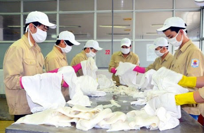 Thoan - Chả Mực: Thương hiệu chả mực giã tay đặc sản vùng biển Hạ Long - Quảng Ninh - 3