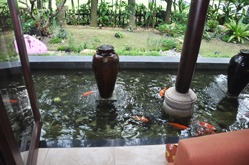 Hồ nuôi cá kiểng phong thủy, ngăn cách các
khoảng không gian... được thiết kế bao quanh nhà.