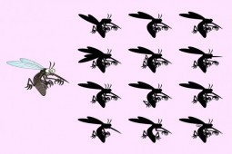 Giáo dục - du học - Tinh mắt lắm mới phát hiện ra những chi tiết kỳ lạ trong những bức ảnh này