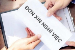 Hai phó giám đốc 2 sở ở Đồng Nai làm đơn xin nghỉ việc