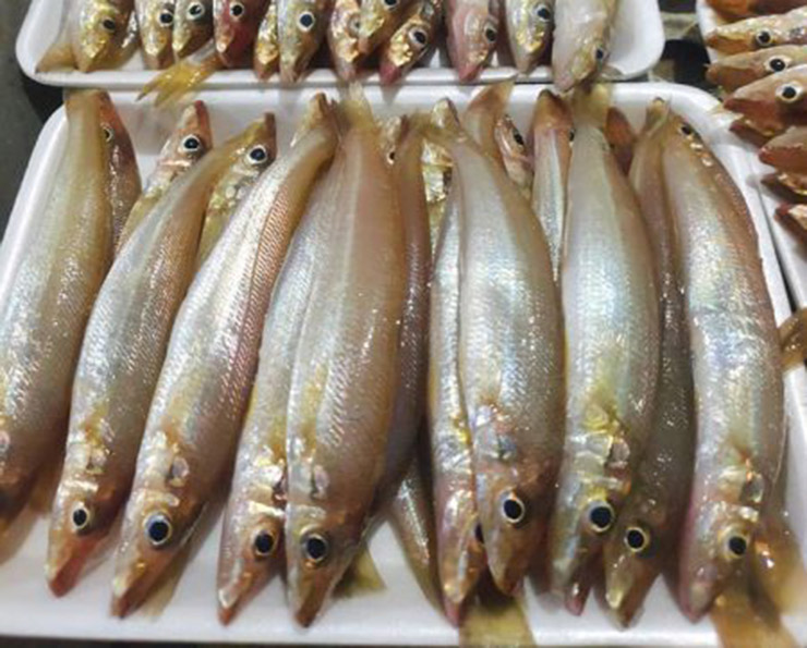 Thời điểm đó, cá đục ít người biết tới, người dân miền biển để ăn hoặc làm mắm, ở chợ cũng có bán nhưng giá cực kỳ rẻ mạt.&nbsp;
