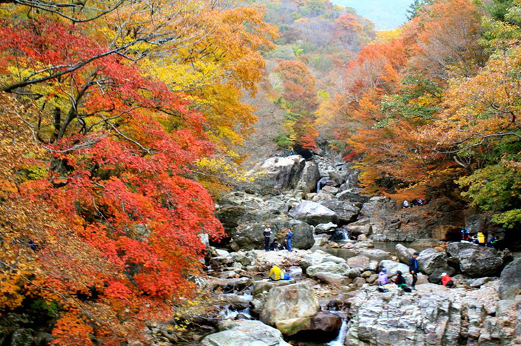 Hàn Quốc có tới hơn 20 công viên quốc gia trải dài khắp đất nước, hãy tìm hiểu những công viên quốc gia nào nổi tiếng và thu hút nhiều khách du lịch nhất ở đây nhé. 
