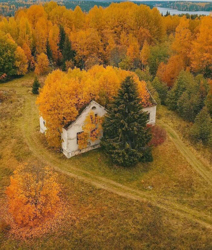 2. Đây là một ngôi nhà bị bỏ hoang ở Cộng hòa Karelia, Nga. Vào mùa thu, người ta mê mẩn vẻ đẹp cô độc của nó giữa một khu rừng lá vàng.