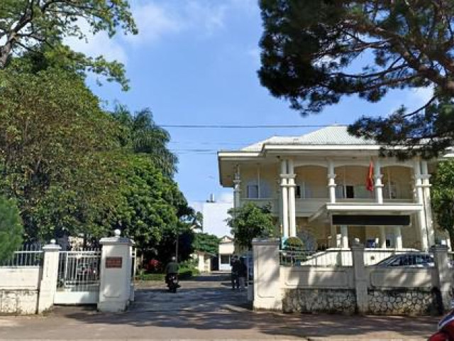 Tin tức trong ngày - Sở Y tế Gia Lai có vi phạm trong việc mua kit test xét nghiệm Covid-19