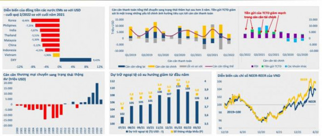 Một số thống kê của BVSC liên quan đến vấn đề tỷ giá
