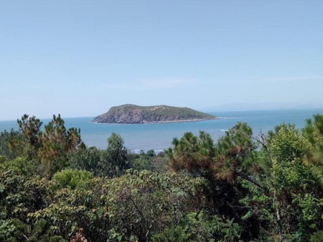 Du lịch - Đến Vũng Chùa - Đảo Yến bày tỏ lòng thành kính với vị tướng tài ba