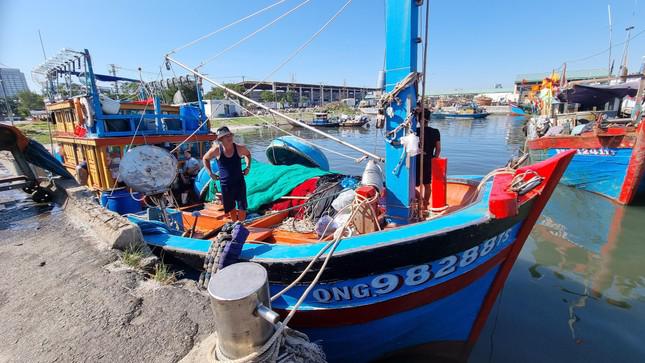 Tàu QNg 98288 chuẩn bị lấy đá để đi biển trong ngày. Tàu đánh bắt gần bờ, mỗi chuyến đi vài ba hôm.