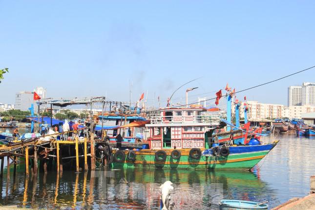 Tàu cá liên tục cập vào cầu để tiếp đá.