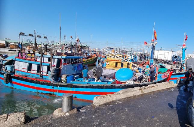 Ông Trần Văn Lĩnh, Chủ tịch Hội nghề cá Đà Nẵng cho hay so với mức gần 30.000đ/lít, thì giá dầu hiện tại rút bớt chi phí cho ngư dân mỗi chuyến ra khơi. Tuy nhiên phần lớn tàu ra khơi là tàu nhỏ, đánh bắt ngắn ngày, tiêu hao ít nhiên liệu, còn các tàu lớn vẫn còn khá e dè.