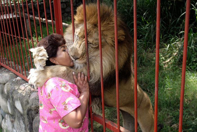 Lại đây người ta thương tí nào.
