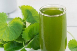 Ẩm thực - Công dụng tuyệt vời của đậu xanh và những món nước ngon, mới lạ từ đậu xanh