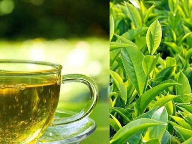 Mùa hè uống trà xanh nhất định phải kiêng kỵ 6 điều này nếu không sẽ vô cùng hại sức khỏe
