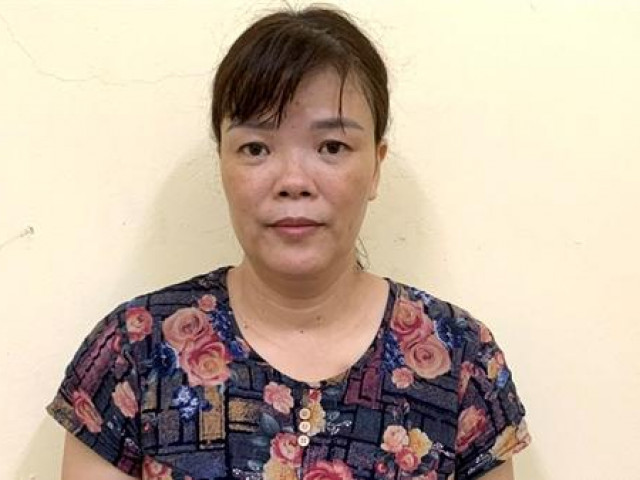 Pháp luật - Cặp với "phi công" để cùng nhau trộm tài sản của người nước ngoài