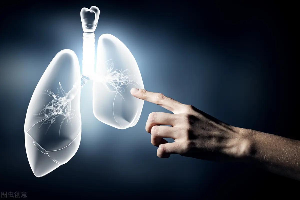 Ăn 4 thứ này thường xuyên có thể “hút sạch” chất độc trong phổi - 1