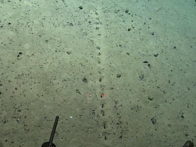 Thế giới - Những hàng lỗ bí ẩn dưới đáy biển