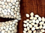 Pháp luật - Bà lão rút sổ tiết kiệm 300 triệu đồng để mua gói thuốc giả