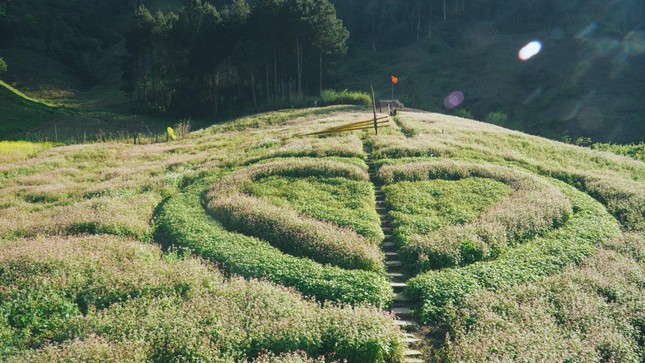 Gặp "nam thần thổ địa Mộc Châu" nghe kể chuyện du lịch bản địa qua hình ảnh - 5