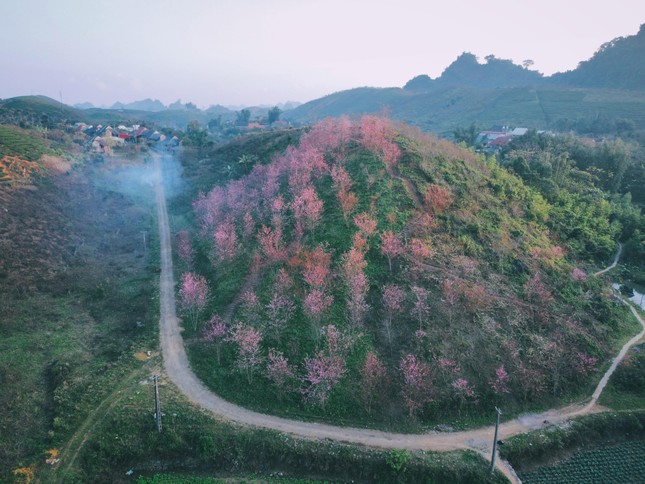 Gặp "nam thần thổ địa Mộc Châu" nghe kể chuyện du lịch bản địa qua hình ảnh - 7