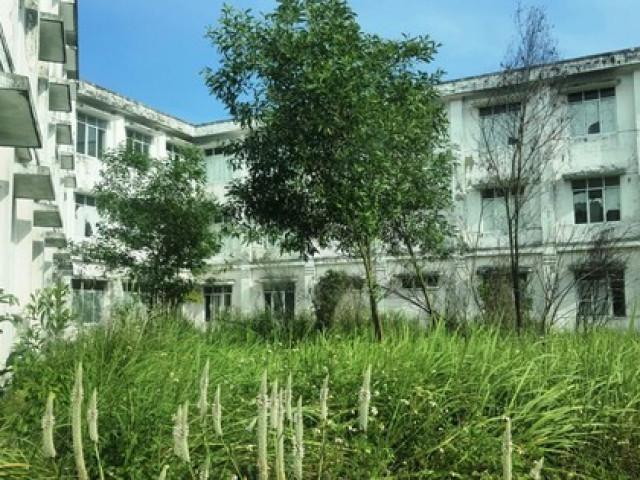Tin tức trong ngày - Cận cảnh bệnh viện đa khoa hàng trăm tỷ hoang tàn, cây dại bủa vây tại Huế