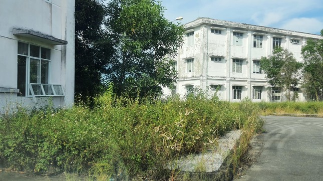 Cận cảnh bệnh viện đa khoa hàng trăm tỷ hoang tàn, cây dại bủa vây tại Huế - 2