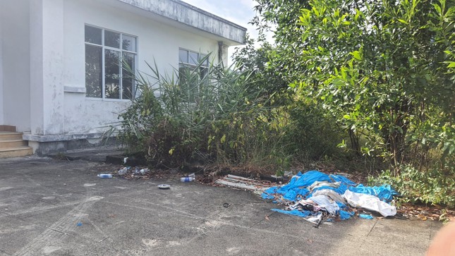 Lau lách, cây đót xâm nhập vào tận vách tường khu nhà chức năng thuộc bệnh viện, phía ngoài là rác thải ùn đống. Ảnh: N.V