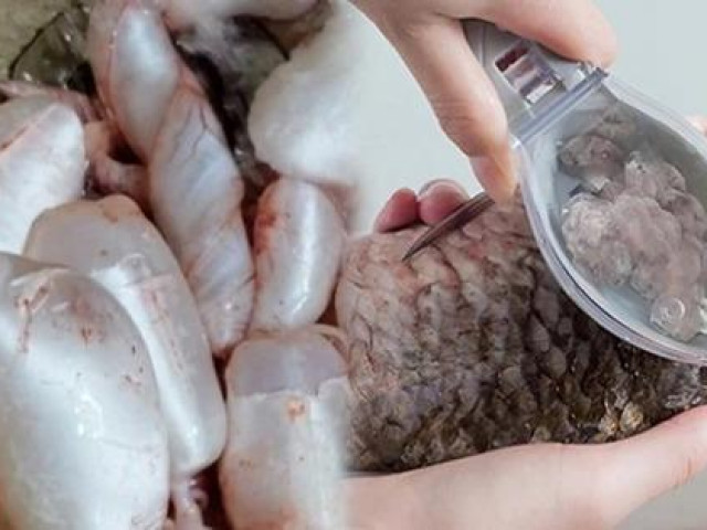 Ẩm thực - Những bộ phận "đại bổ" của cá, cực nhiều dinh dưỡng, lại ít người biết nên thường vứt bỏ