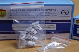 Tin tức trong ngày - Bắt tạm giam Giám đốc CDC tỉnh Cà Mau