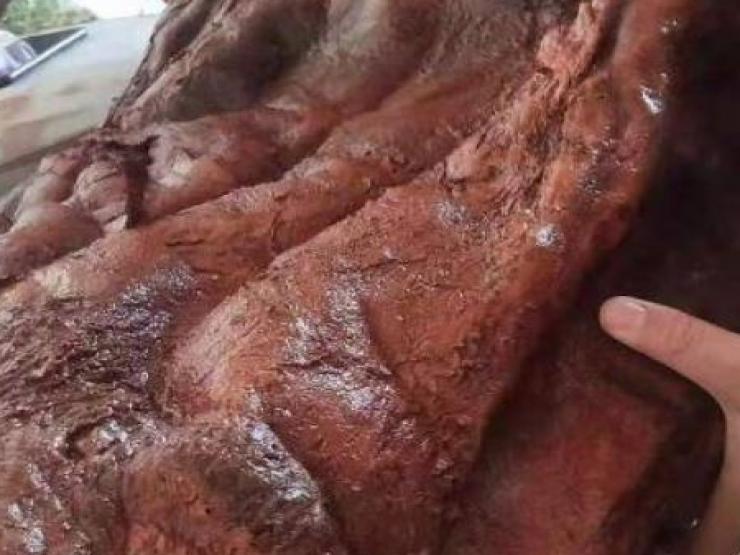 Thị trường - Tiêu dùng - Đem vật như đồ bỏ đi ở bãi cỏ về nhà, người đàn ông choáng với giá trị "khủng"