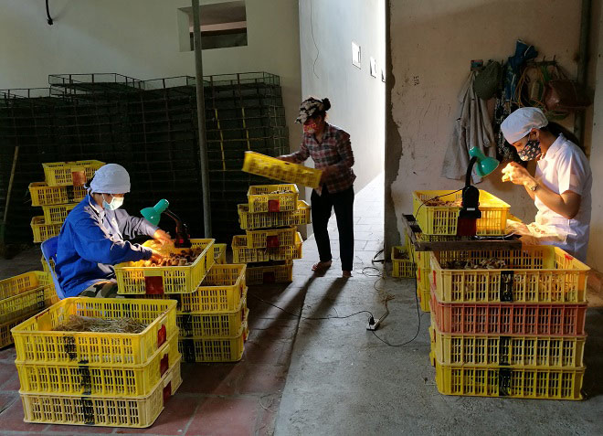 Ngoài làm việc, chị Dung còn nhận đào tạo nghề cho những người có nhu cầu do nghề này đang rất hiếm người làm
