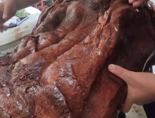 Đem vật như đồ bỏ đi ở bãi cỏ về nhà, người đàn ông choáng với giá trị "khủng" - 1