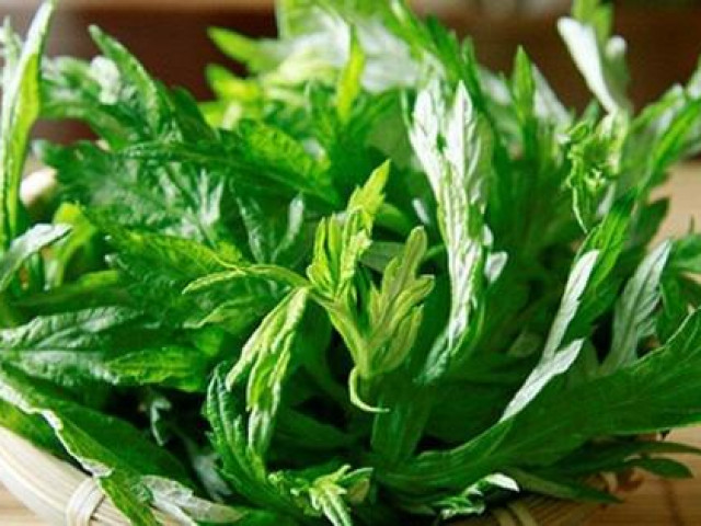 Ẩm thực - Sai lầm khi ăn ngải cứu có thể dẫn đến ngộ độc, động kinh,... biết mà tránh xa kẻo "hối không kịp"