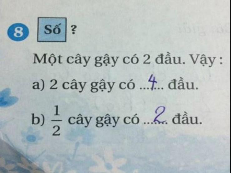 Bạn trẻ - Cuộc sống - Bài toán tiểu học "1/2 cây gậy có mấy đầu" khiến cộng đồng mạng tranh cãi dữ dội