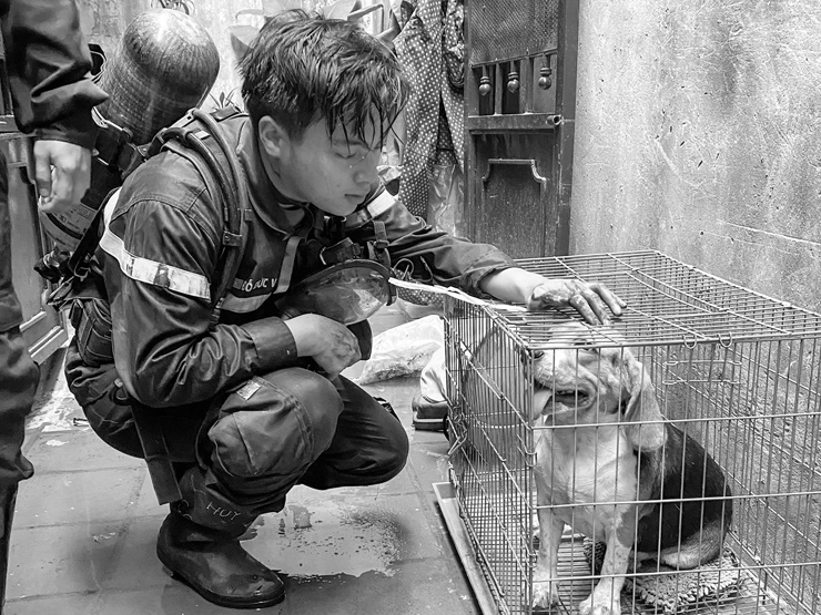 Xúc động di ảnh Trung uý Đỗ Đức Việt bên chú cún được cứu sau đám cháy