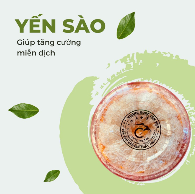 Yến sào là gì? Tác dụng của yến sào và cách chưng yến sào - 2