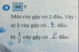 Bạn trẻ - Cuộc sống - Bài toán tiểu học &quot;1/2 cây gậy có mấy đầu&quot; khiến cộng đồng mạng tranh cãi dữ dội