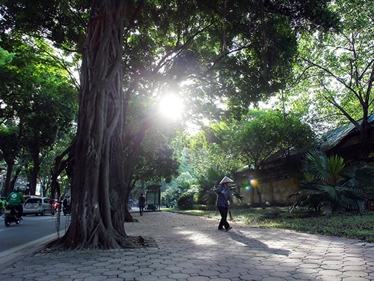 Tin tức trong ngày - Dự báo thời tiết ngày 2/8: Miền Bắc nắng nhiều hơn, miền Nam mưa to về chiều tối