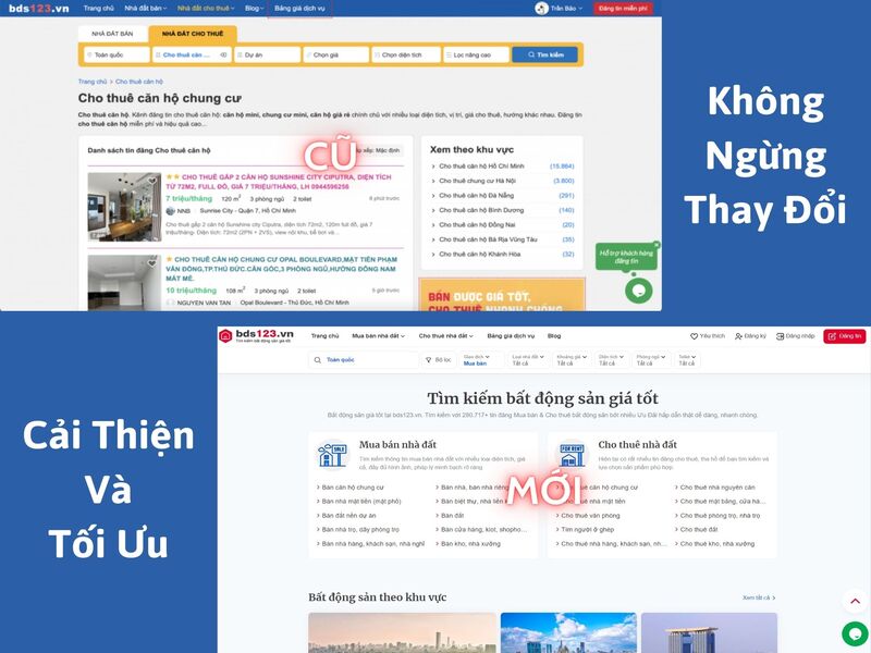 Bds123.vn: Giấc mơ vươn tầm website bất động sản 100% Việt Nam - 2