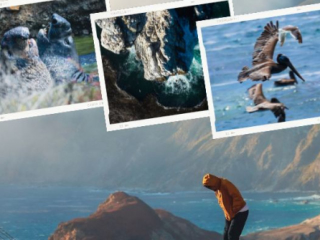 Du lịch - Từ Big Sur đến Sea Lion Point: Khúc tự tình của thiên nhiên dành tặng lữ khách