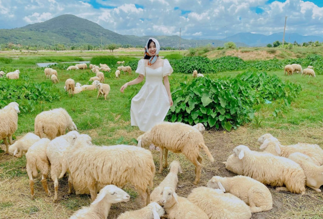 ‘Nhuộm da’ ở vùng đất đầy nắng gió, cùng cung đường biển đắm say lòng người - 17