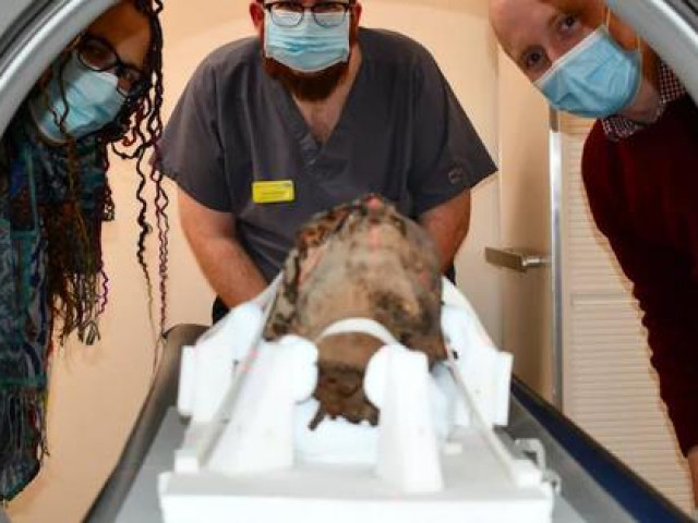 Du lịch - Dọn gác mái, phát hiện chiếc đầu người 2.000 năm vẫn nguyên vẹn