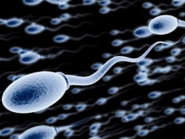 Sức khỏe đời sống - “Con giống” của quý ông như thế nào được coi là khỏe mạnh?