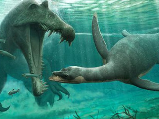 Kinh hãi hài cốt ”quái vật hồ Loch Ness” dài 3 m dưới sông Morocco