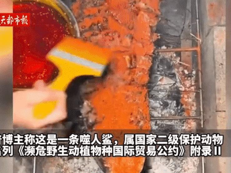 Video: Cô gái Trung Quốc gây tranh cãi vì ăn thịt cá mập trắng dài hơn 2 mét