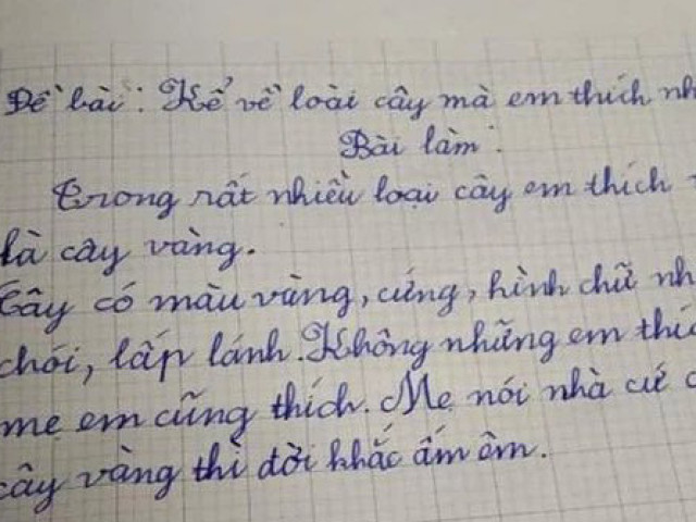Giáo dục - du học - Bài văn tả cây "khét lẹt" của học sinh cấp 1: Cây "dị" nhất thế giới, đọc xong chỉ muốn xin sống chung để hưởng ké sự giàu sang