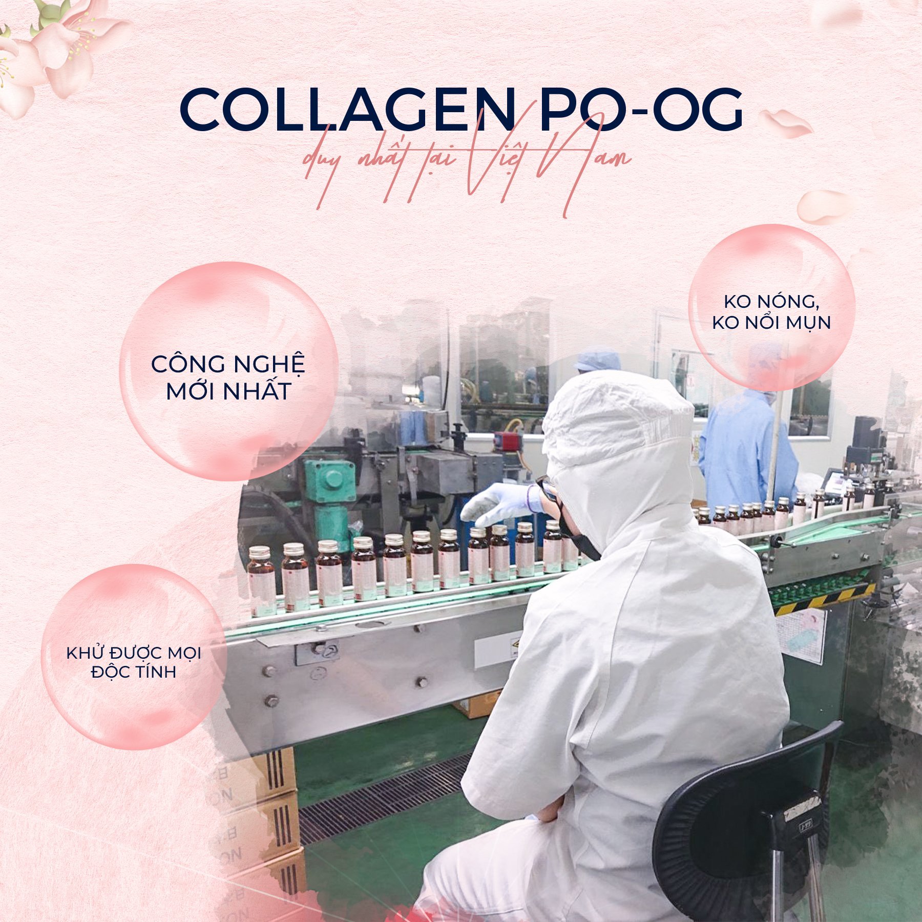 Phái đẹp tò mò về sự vượt trội của công nghệ collagen của Royal collagen 30.000 - 3